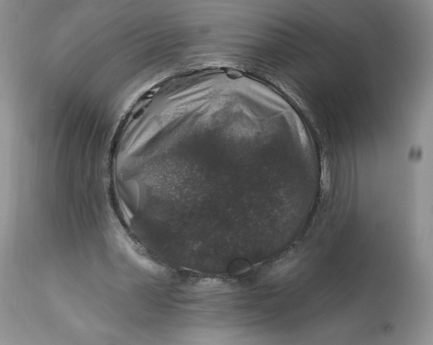 X0000113580390200910021658