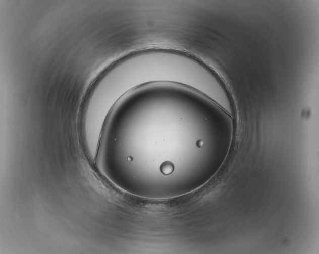 X0000113580391200910021658