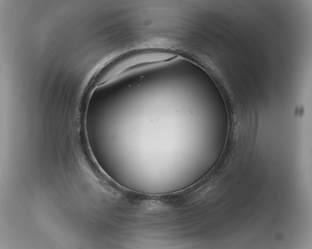 X0000113580392200910021658