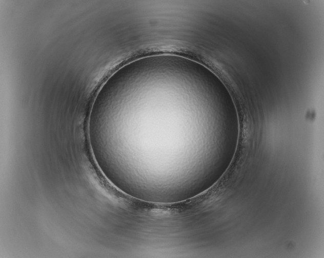 X0000113580394200910021658