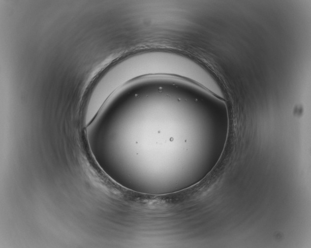 X0000113580395200910021658