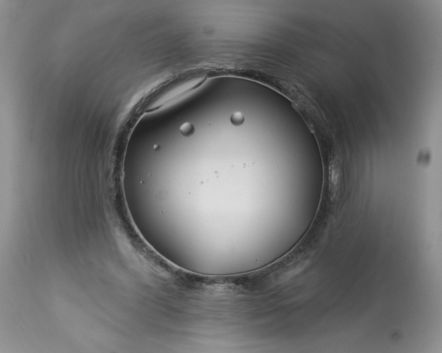 X0000113580396200910021658