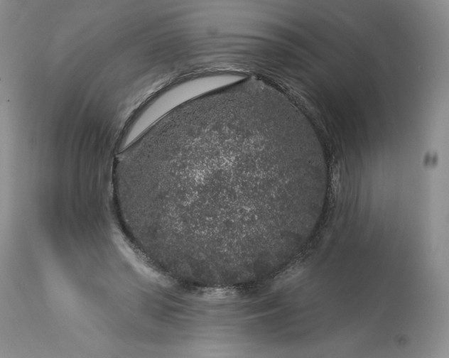 X0000113580398200910021658