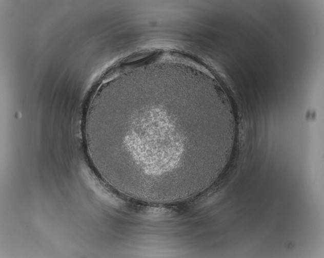 X0000113580399200910021658