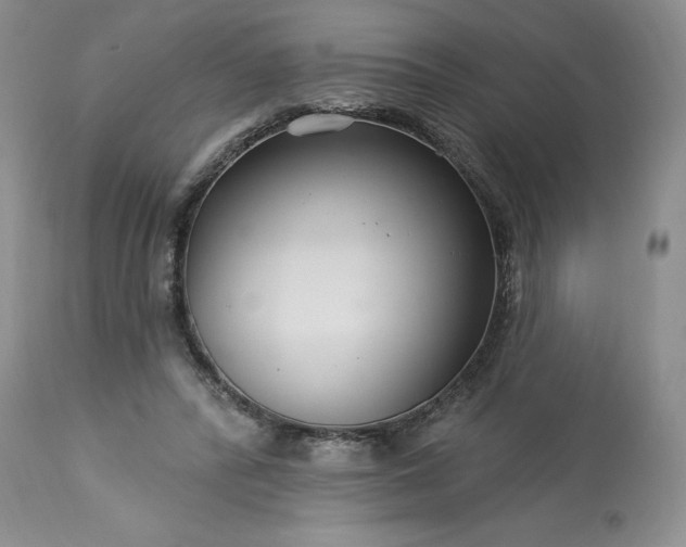 X0000113580400200910021658