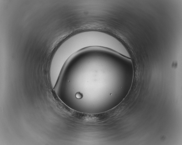 X0000113580403200910021658