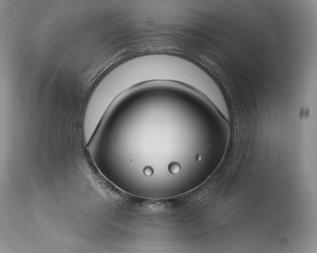 X0000113580405200910021658