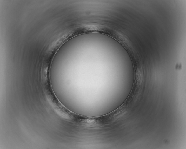 X0000113580406200910021658