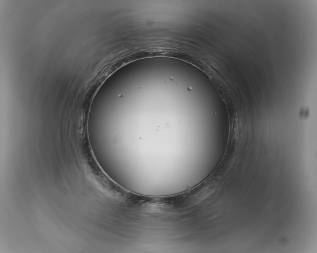 X0000113580408200910021658