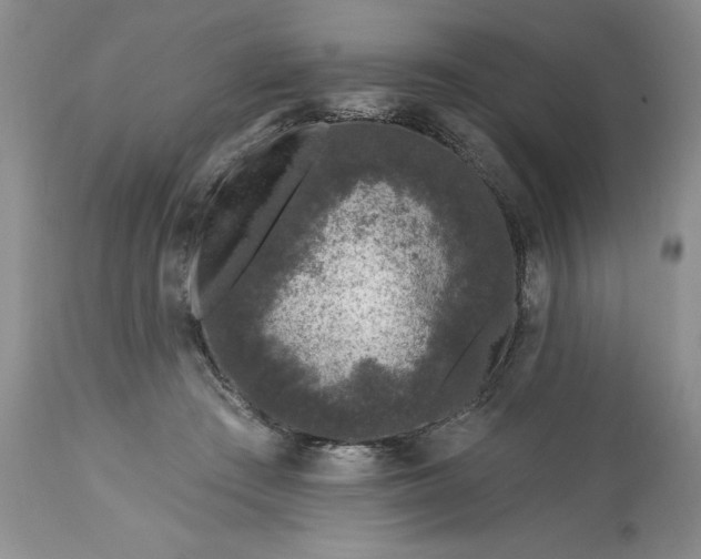 X0000113580409200910021658