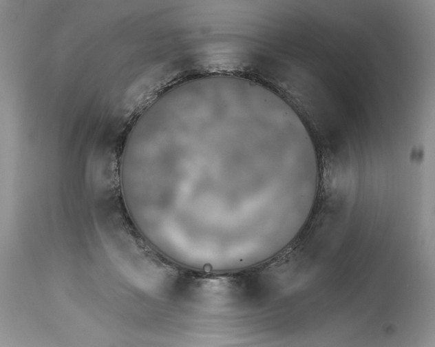 X0000113580411200910021658