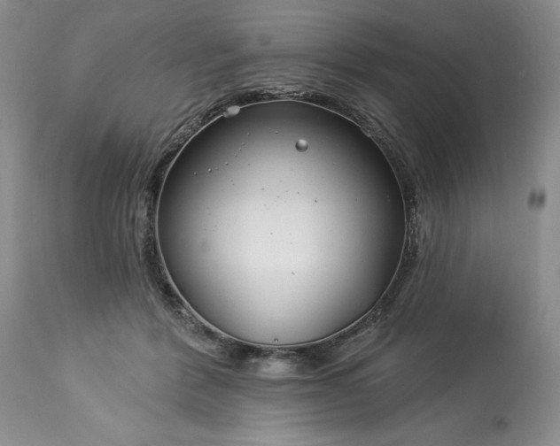 X0000113580412200910021658