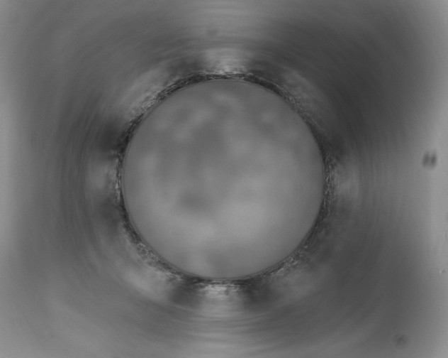 X0000113580415200910021658