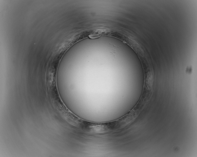 X0000113580417200910021658