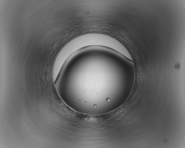 X0000113580419200910021658