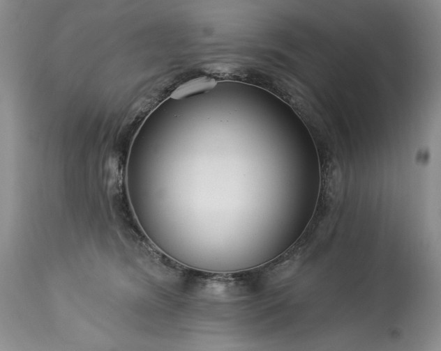 X0000113580420200910021658