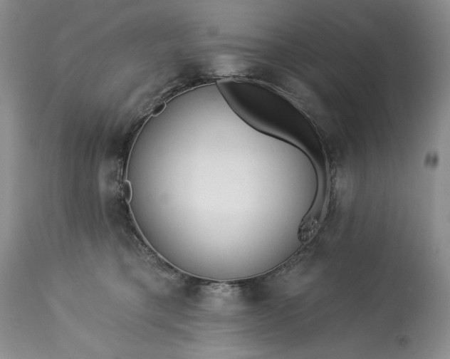 X0000113580421200910021658