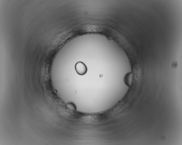 X0000113580422200910021658