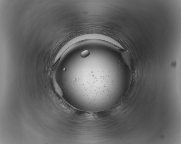 X0000113580424200910021657