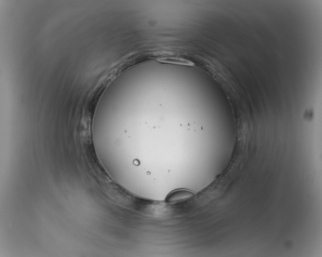 X0000113580425200910021657