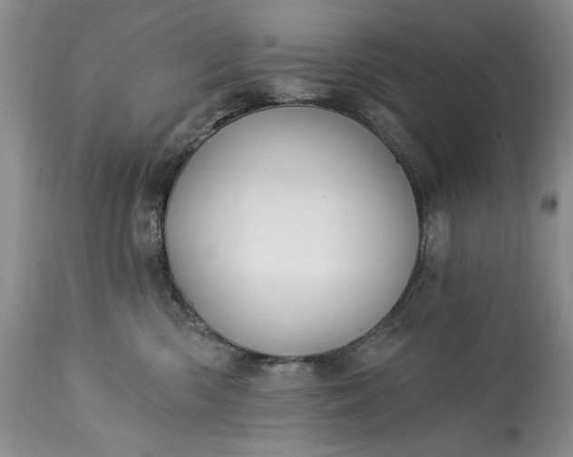 X0000113580426200910021657