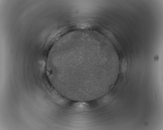 X0000113580427200910021657