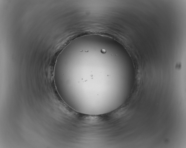 X0000113580428200910021657