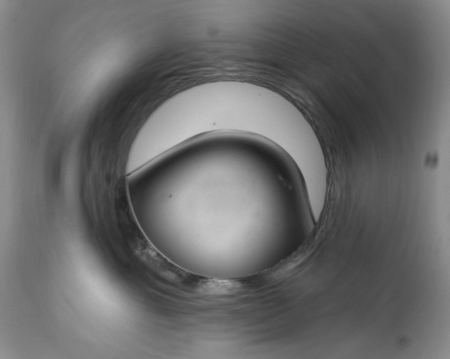 X0000113580429200910021657