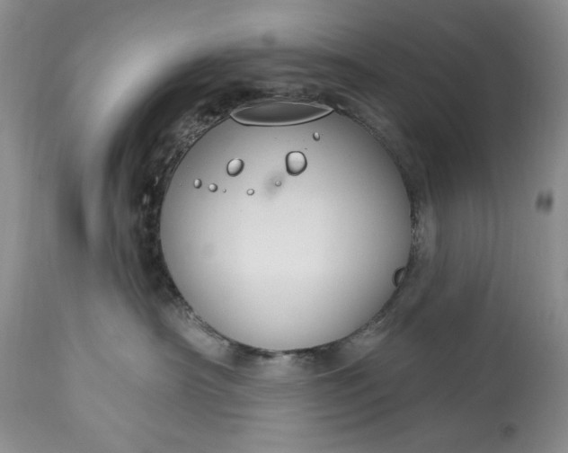 X0000113580430200910021657