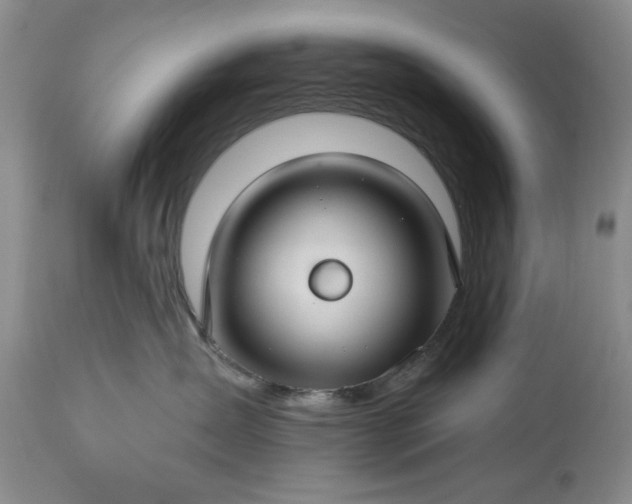 X0000113580431200910021657