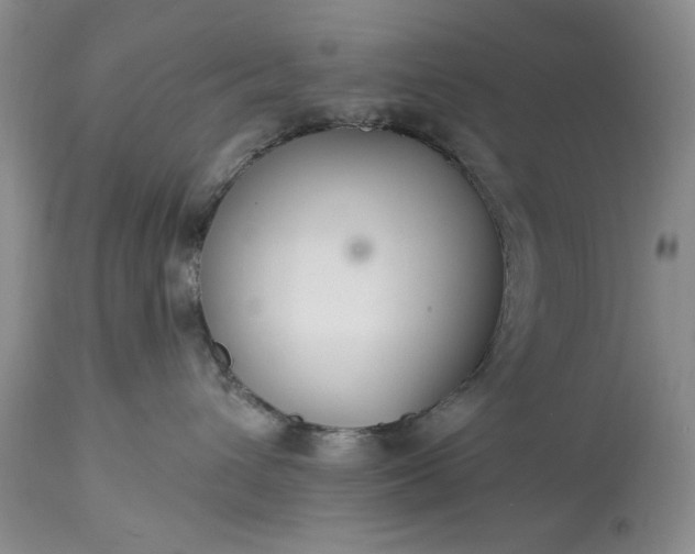 X0000113580432200910021657