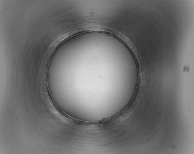 X0000113580433200910021657