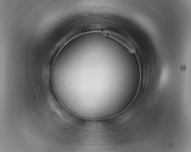 X0000113580435200910021657