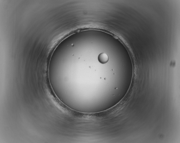 X0000113580437200910021657