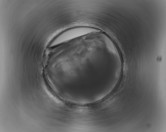 X0000113580438200910021657