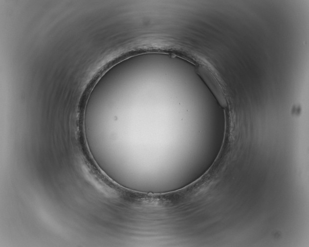 X0000113580439200910021657