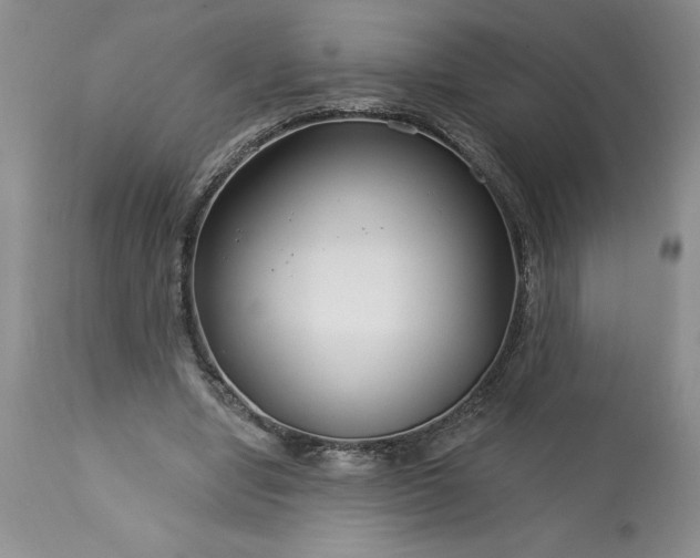 X0000113580442200910021657