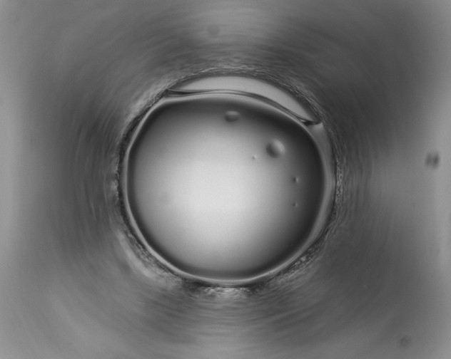 X0000113580443200910021657