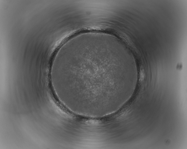 X0000113580444200910021657