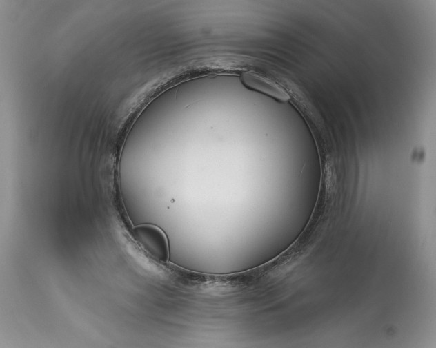 X0000113580445200910021657