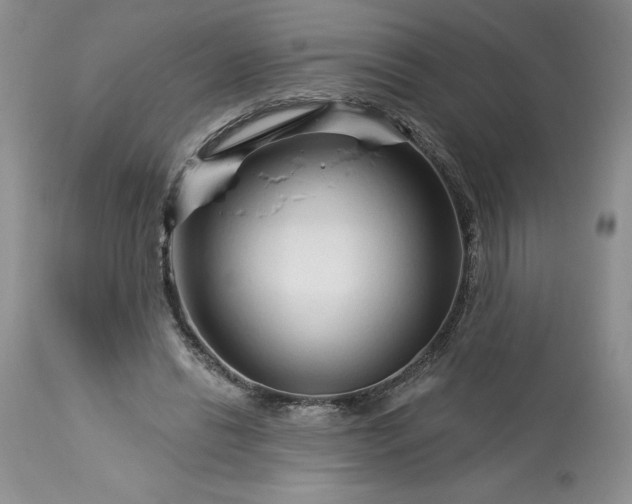 X0000113580446200910021657