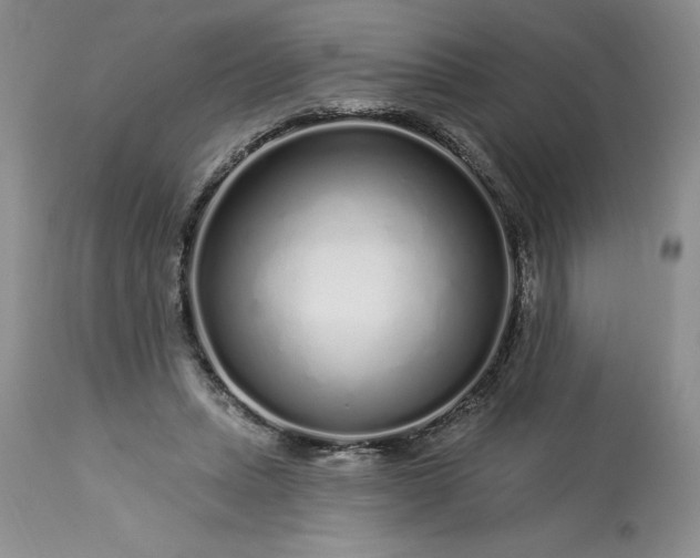 X0000113580447200910021657