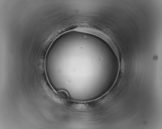 X0000113580449200910021657