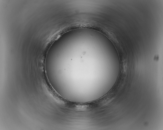 X0000113580450200910021657