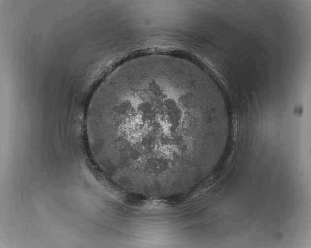 X0000113580451200910021657