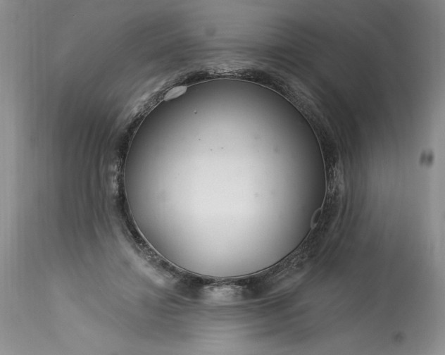 X0000113580452200910021657