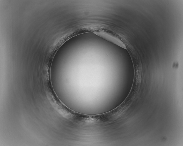 X0000113580453200910021657