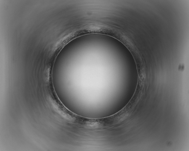 X0000113580454200910021657