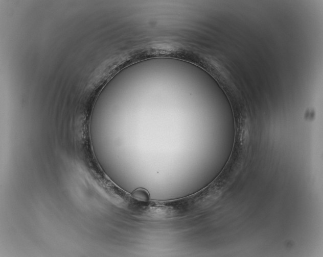 X0000113580455200910021657