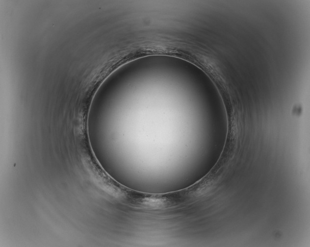 X0000113580457200910021657